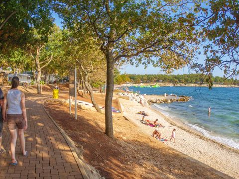 Camping Bijela Uvala  - Istria