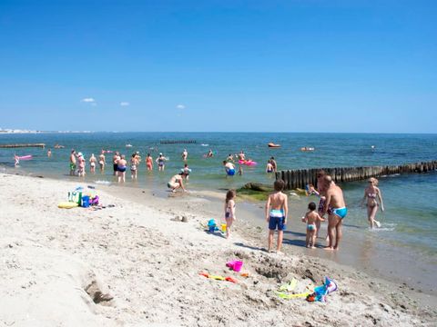 Rosapineta Camping Village - Rovigo