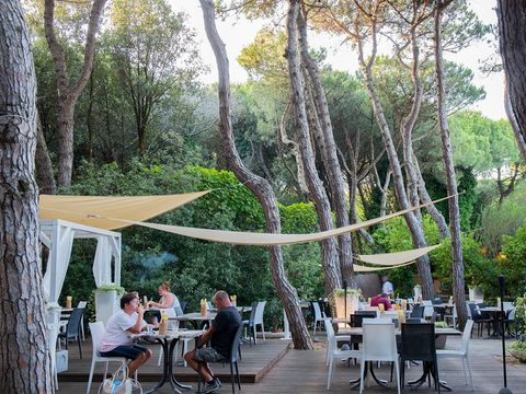 Rosapineta Camping Village - Rovigo