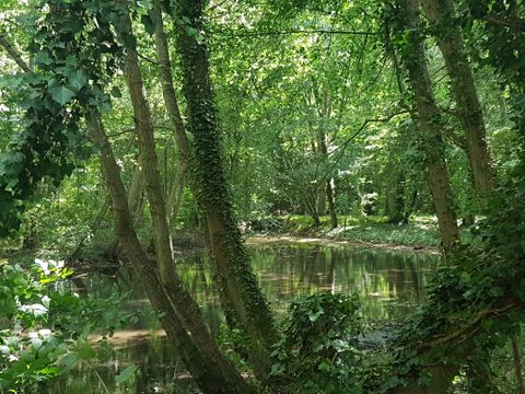 Camping  Le Parc des Roches - Essonne 
