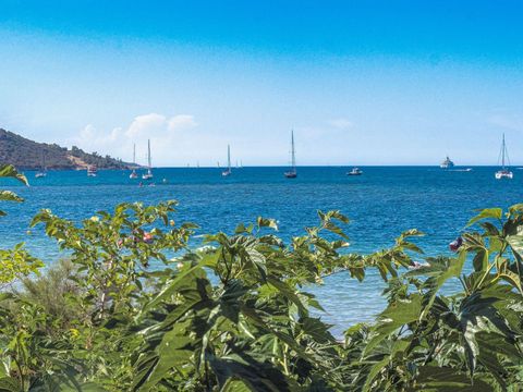 Camping U pezzo - Northern Corsica