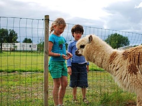 Camping La Dive - Vendée