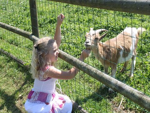 Camping Paradis d'Utah Beach - Manche