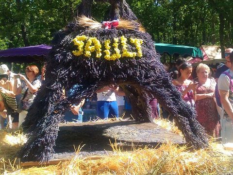 Camping Du Défends  - Vaucluse