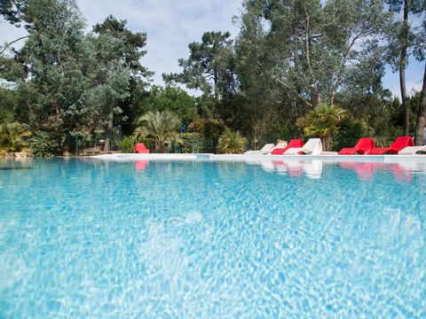 Nicoll’s Camp/Pins - Gironde