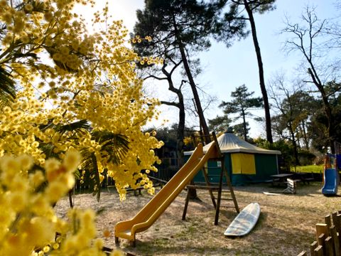 Nicoll’s Camp/Pins - Gironde