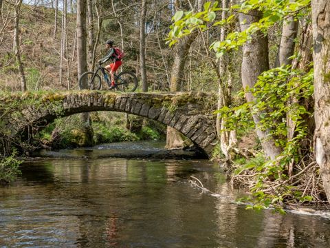 Camping La Colline - Belgian Luxembourg - Image N°18