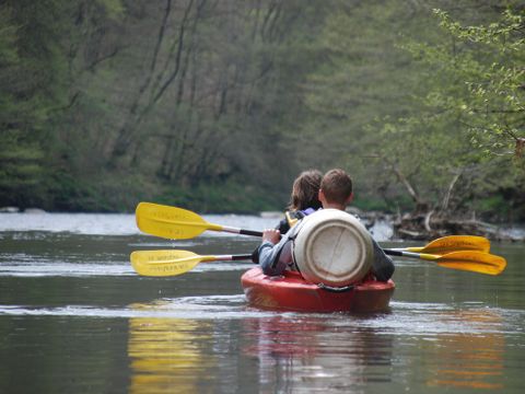 Camping La Colline - Belgian Luxembourg - Image N°22