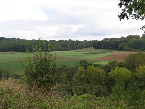 Camping La Colline - Belgian Luxembourg - Image N°33