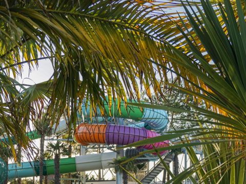 Sunêlia Camping Le Tropicana - Vendée