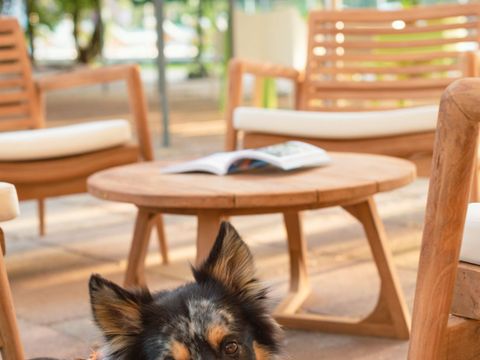 Camping U Casone - Northern Corsica