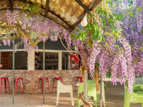 Camping U Casone - Northern Corsica
