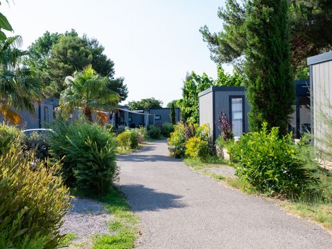 Camping Domaine Les Mûriers - Hérault - Image N°7