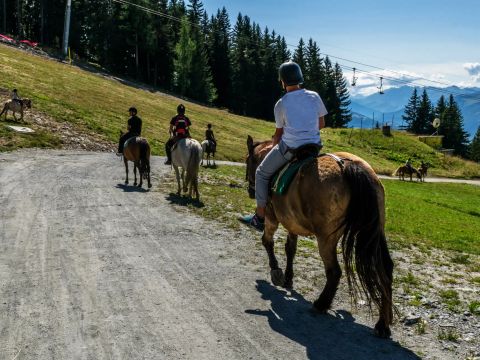 Camping Sainte Victoire - Bouches-du-Rhône