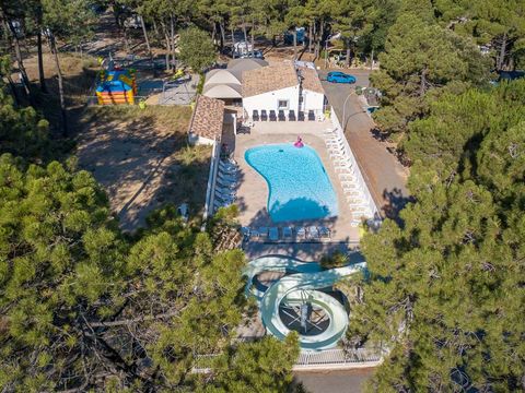 Camping La Pinède en Provence - Vaucluse