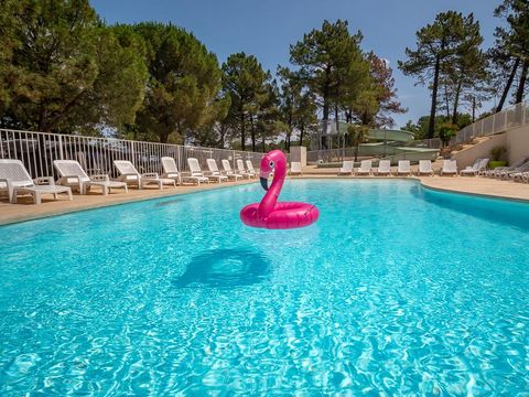 Camping La Pinède en Provence - Vaucluse