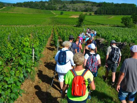 Flower Camping Lac de Saint-Point Lamartine - Saône-et-Loire