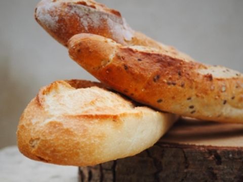 Camping L'Orangerie de Beauregard - Indre-et-Loire