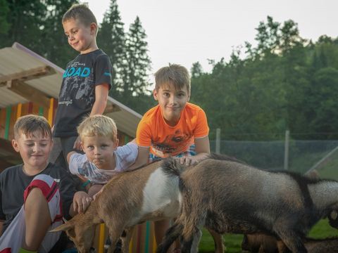 Kleinenzhof Family Resort - Baden-Württemberg - Image N°2