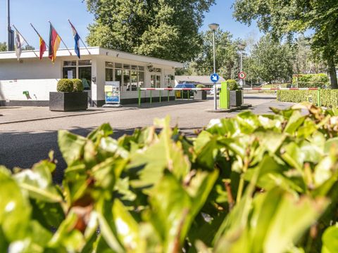 Vakantiepark de Bergen - Sint Anthonis - Image N°30
