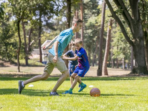 Vakantiepark de Bergen - Sint Anthonis - Image N°52