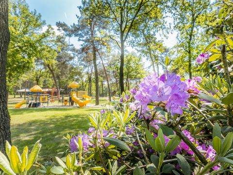 Vakantiepark de Bergen - Sint Anthonis - Image N°50