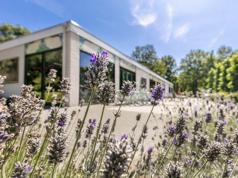 Vakantiepark de Bergen - Sint Anthonis - Image N°34