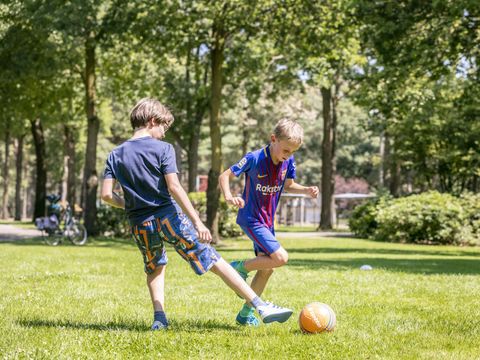 Vakantiepark de Bergen - Sint Anthonis - Image N°53
