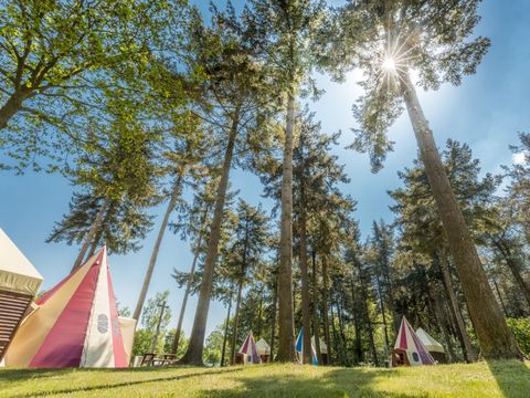 Vakantiepark de Bergen - Sint Anthonis - Image N°43