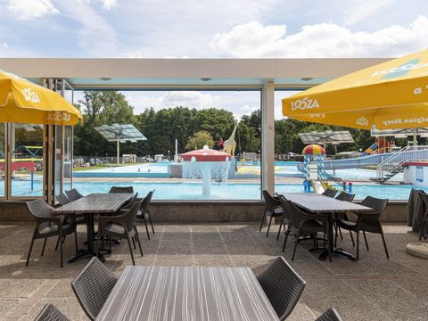 Camping Wilhelm Tell - Camping Belgian Limburg