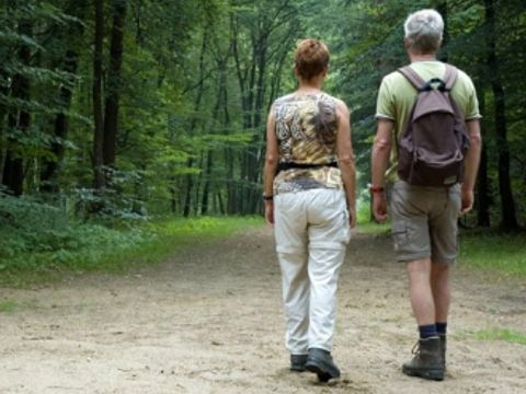 Camping Wilhelm Tell - Belgian Limburg