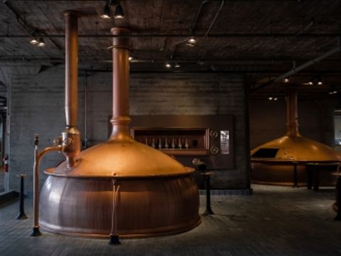 Camping Wilhelm Tell - Belgian Limburg