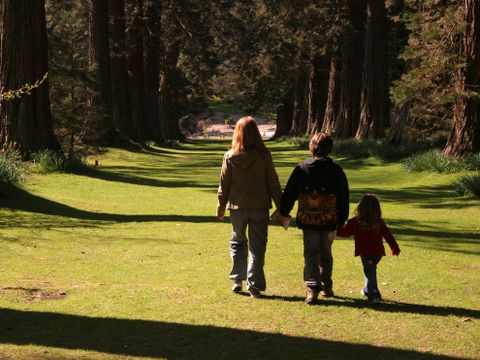 Camping Wilhelm Tell - Belgian Limburg