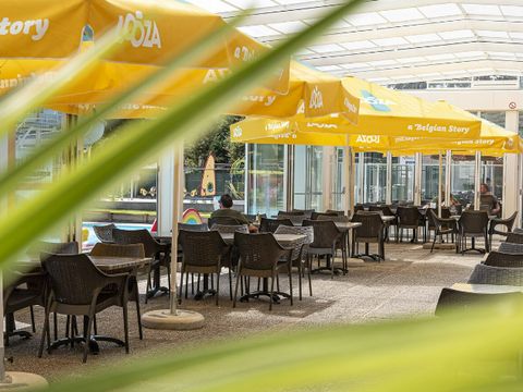 Camping Wilhelm Tell - Belgian Limburg