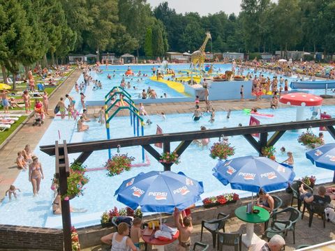 Camping Wilhelm Tell - Camping Belgian Limburg
