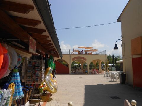 Viareggio Family Collection - Lucca