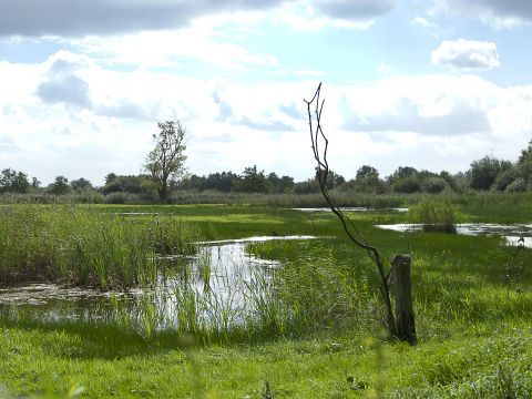 Vodatent Camping GT Keiheuvel - Antwerp - Image N°26