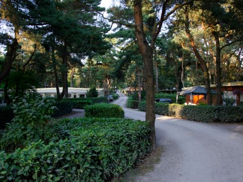 Vodatent Camping GT Keiheuvel - Antwerp - Image N°23