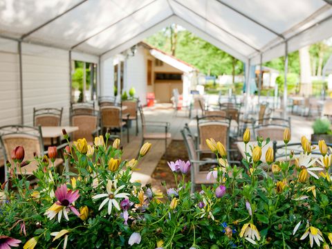 Vodatent Camping de Wrange - Doetinchem - Image N°17