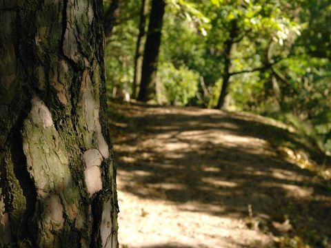 Vodatent Camping de Haer - Dinkelland - Image N°23
