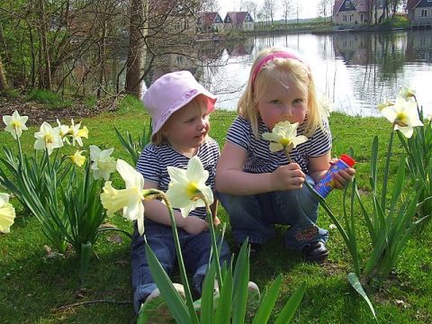 Vakantiepark het Timmerholt  - Midden-Drenthe - Image N°2