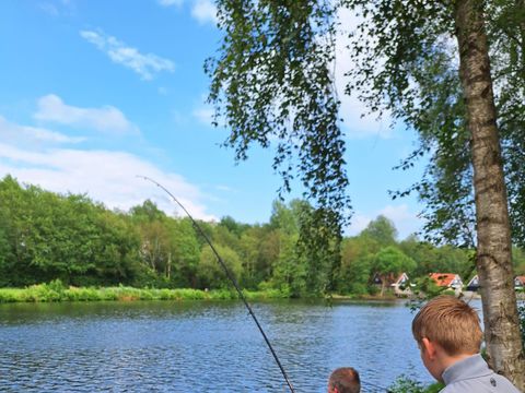 Vakantiepark het Timmerholt  - Midden-Drenthe - Image N°3
