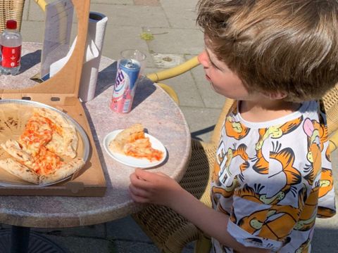 Vakantiepark het Timmerholt  - Midden-Drenthe