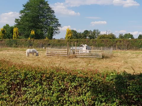 Vodatent Camping la Dolce Vita - Voerendaal - Image N°7