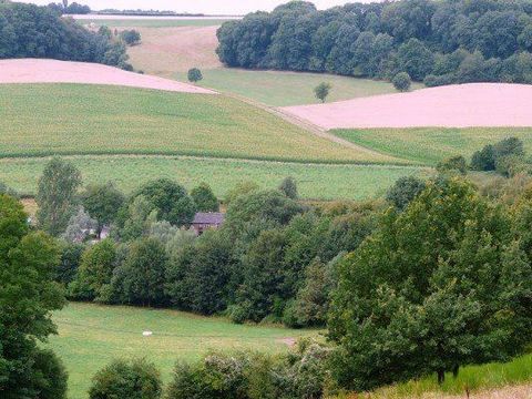 Vodatent Camping la Dolce Vita - Voerendaal - Image N°37