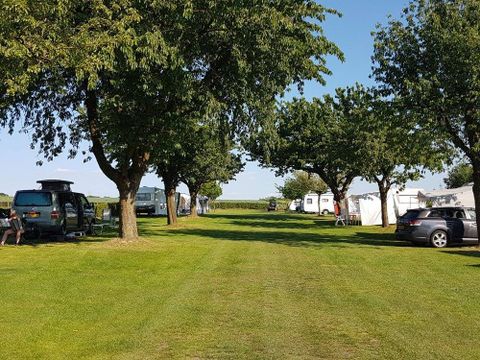 Vodatent Camping la Dolce Vita - Voerendaal - Image N°23