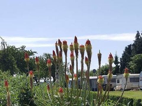 Vodatent Camping la Dolce Vita - Voerendaal - Image N°38
