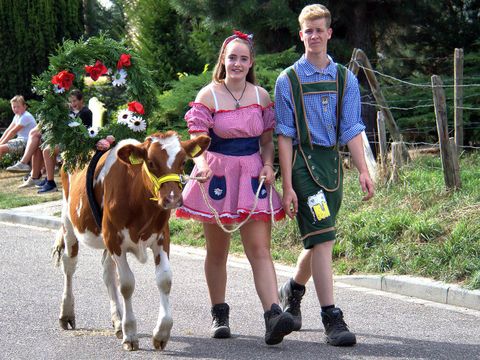 Vodatent Camping la Dolce Vita - Voerendaal - Image N°39