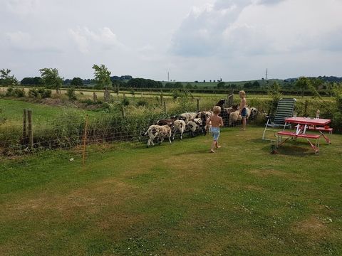 Vodatent Camping la Dolce Vita - Voerendaal - Image N°18