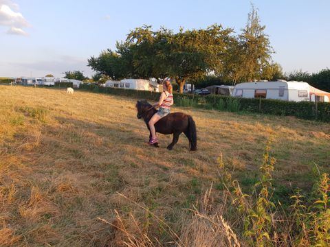 Vodatent Camping la Dolce Vita - Voerendaal - Image N°12